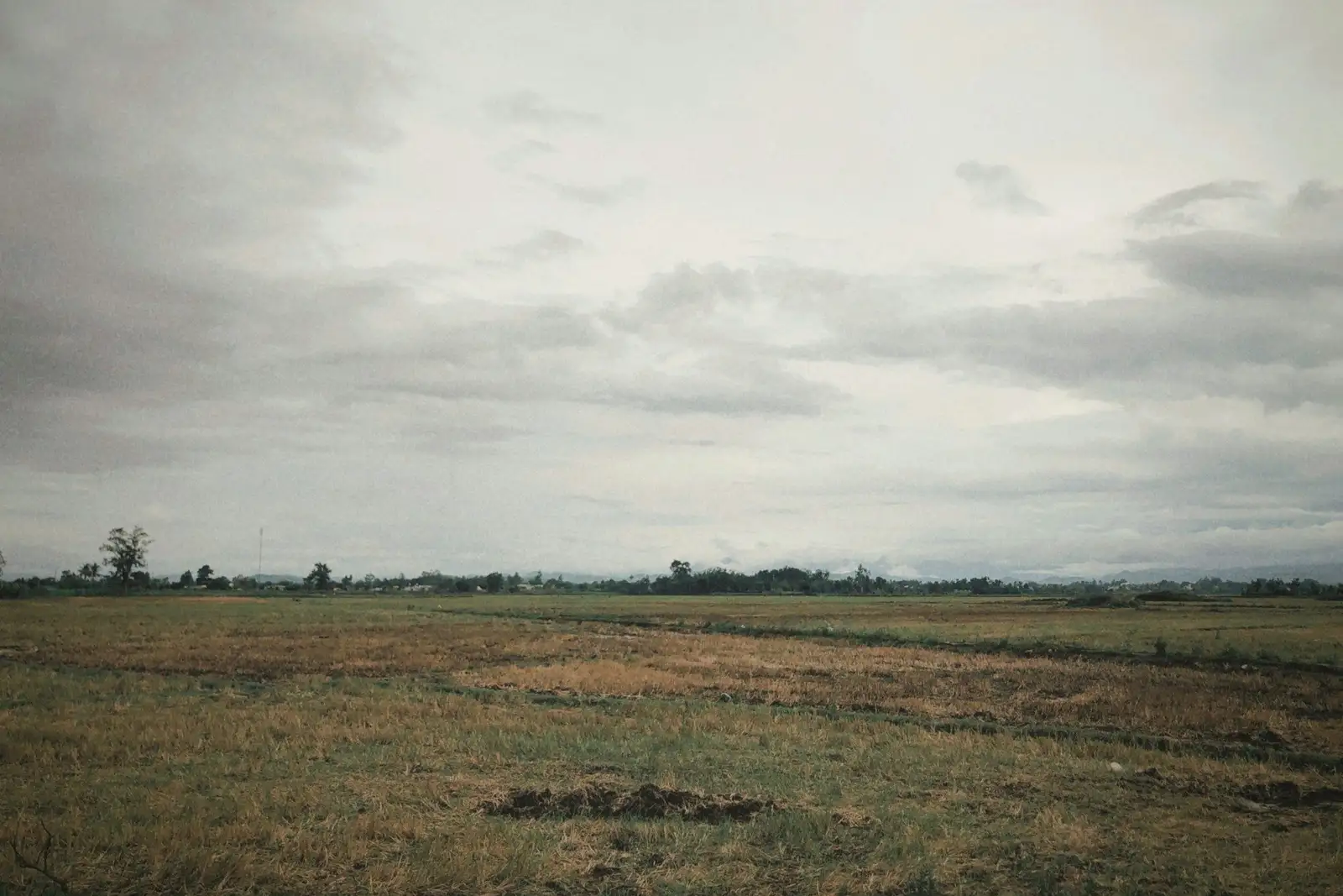 Flat open field under an overcast sky