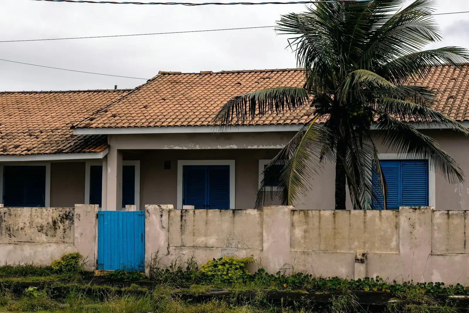 Single-storey house with a clay tile roof behind a concrete wall