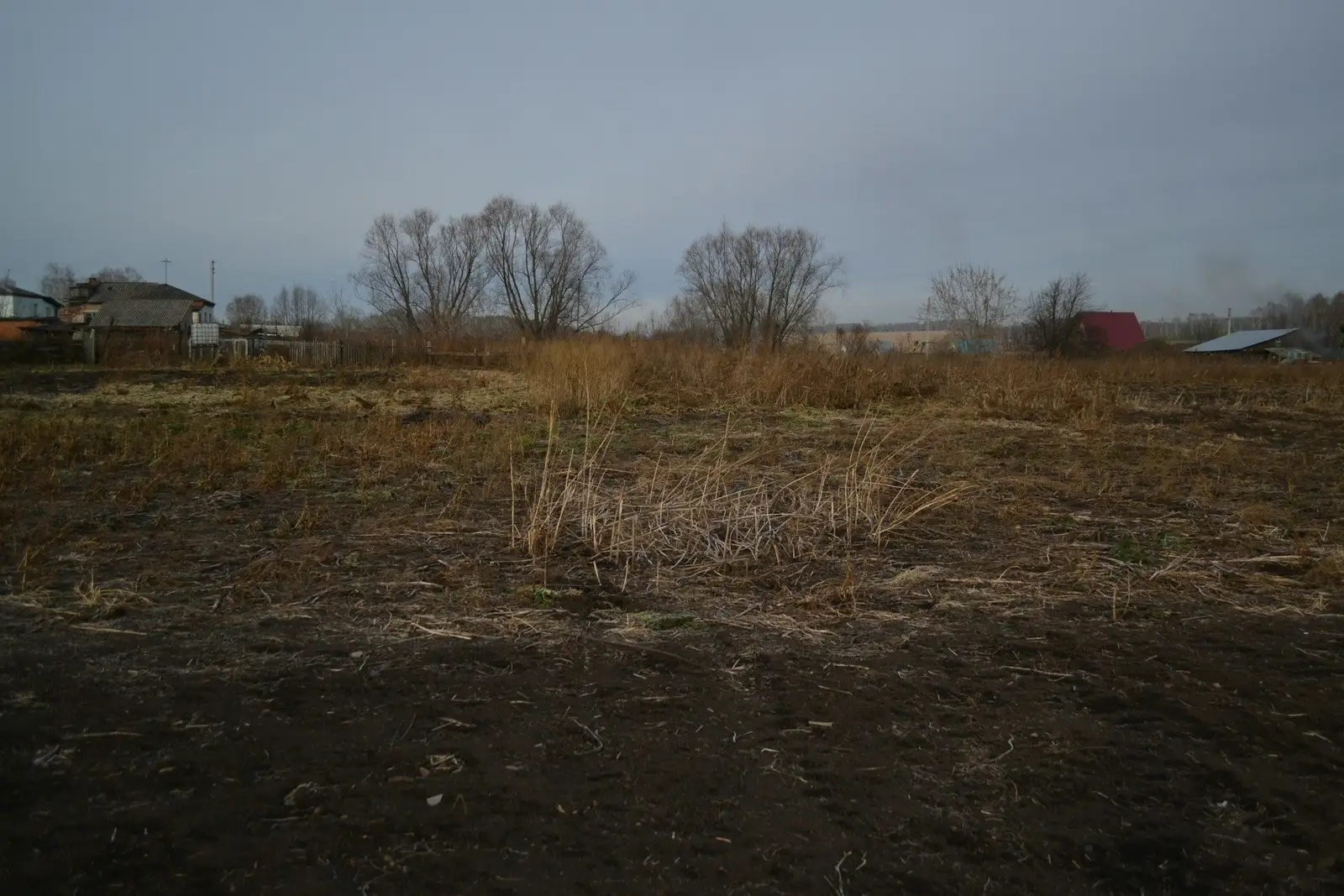 Vacant lot with dry grass and bare trees