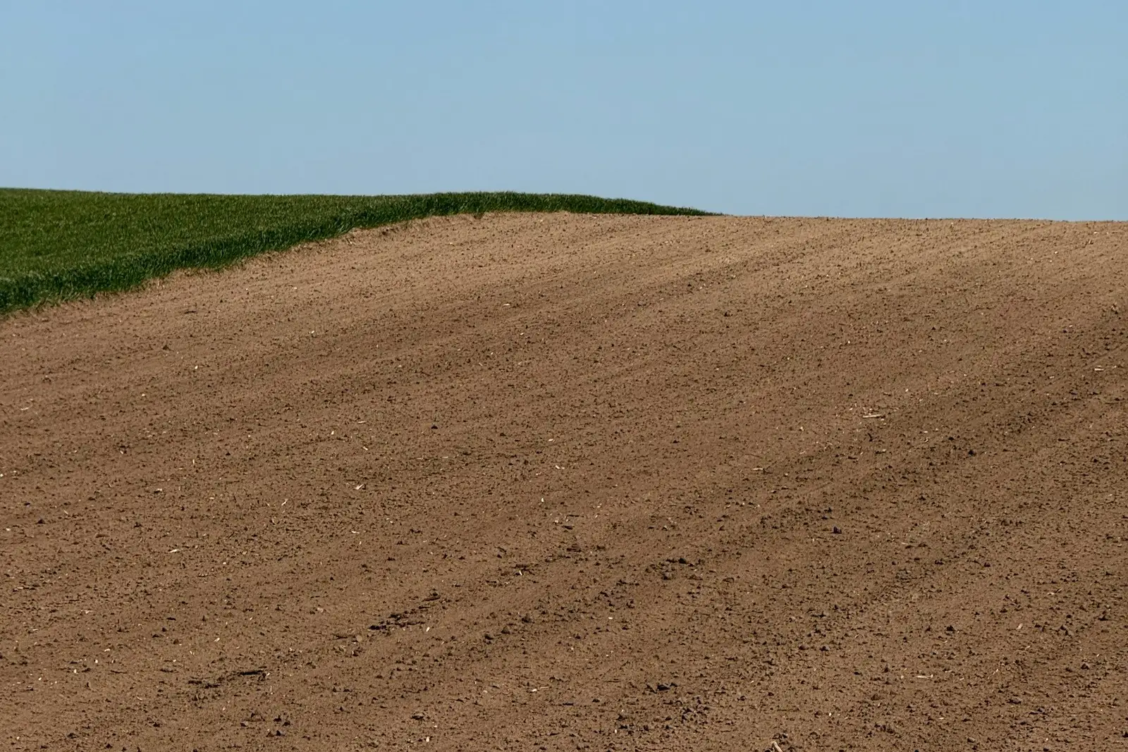 Tilled bare earth plot under a clear sky